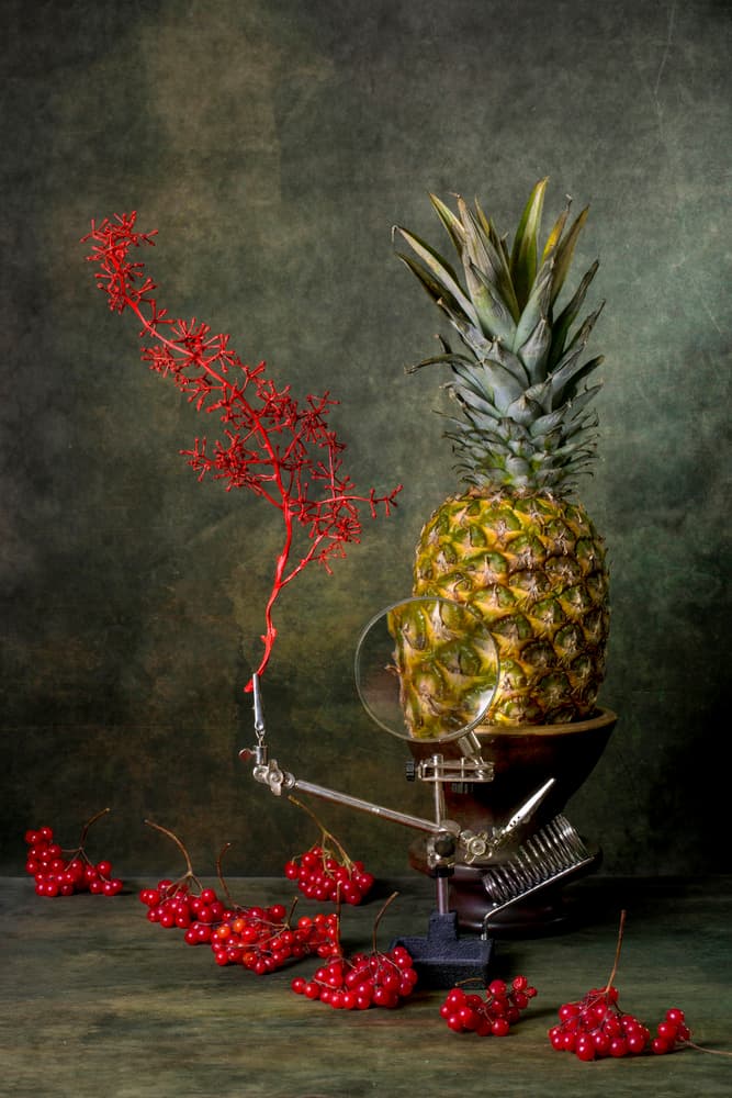 Magnified Pineapple Still Life by Brig Barkow — canvas wall art