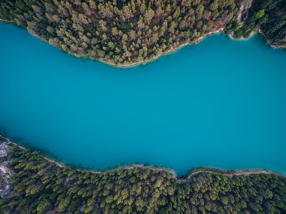 Turquoise Forest River by Antonio Carrillo Lopez — canvas wall art