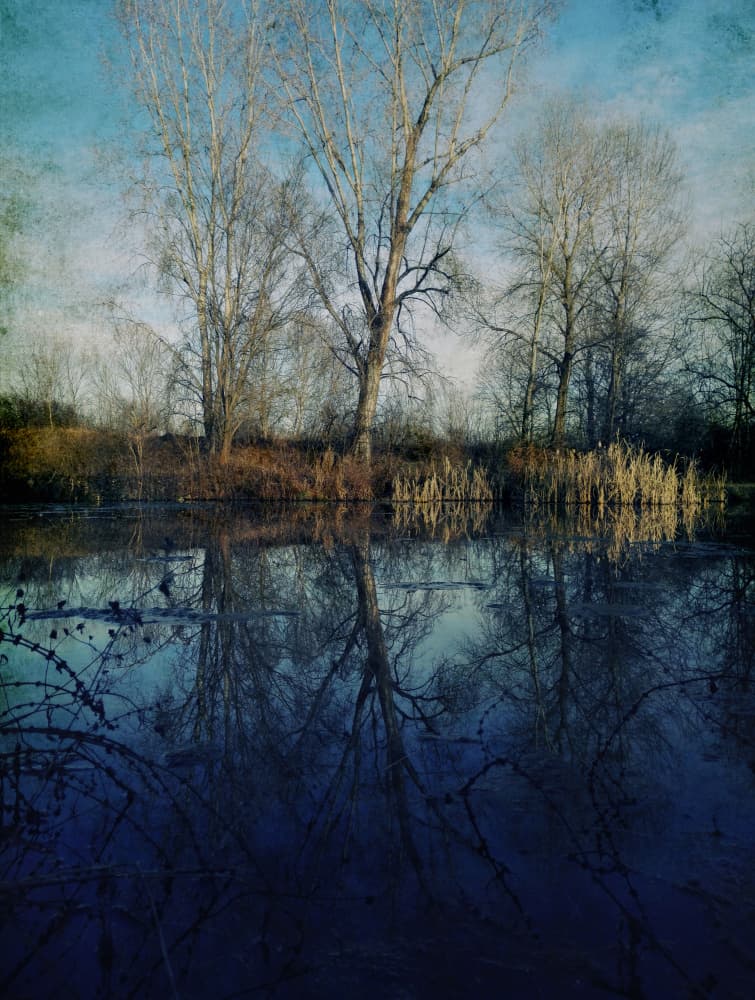 Tranquil Winter Reflections by Angelo Cerantola — canvas wall art