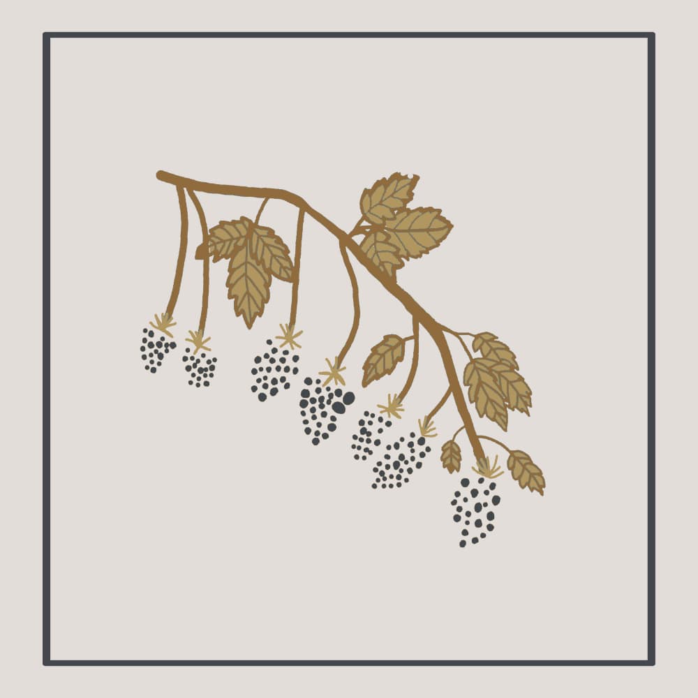 Wild Berry Branch by Gemma Bardot — canvas wall art
