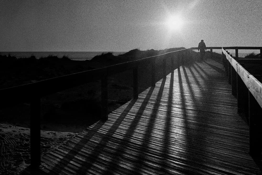 Solitary Beach Walk by Paulo Abrantes — canvas wall art