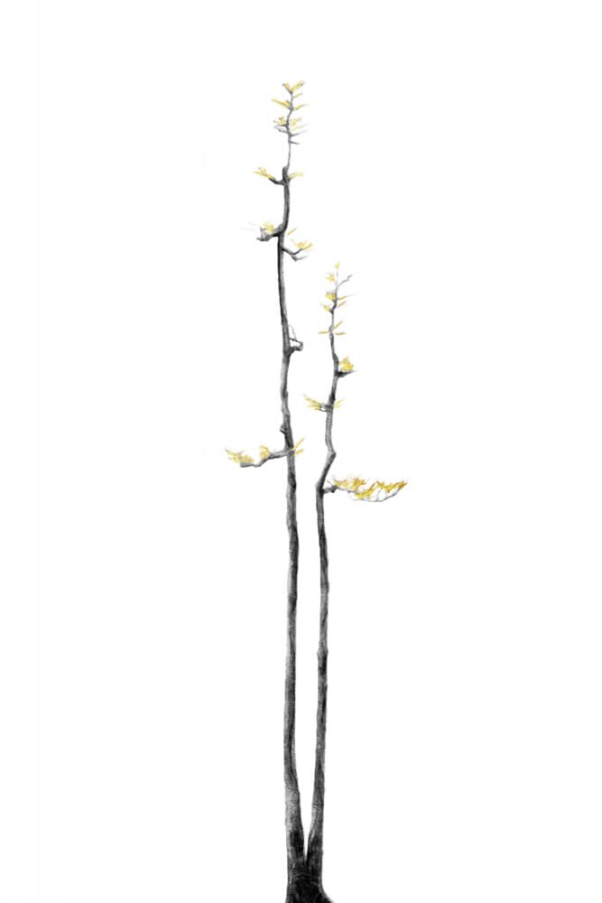 Golden Ginkgo Branches by amini54 — canvas wall art