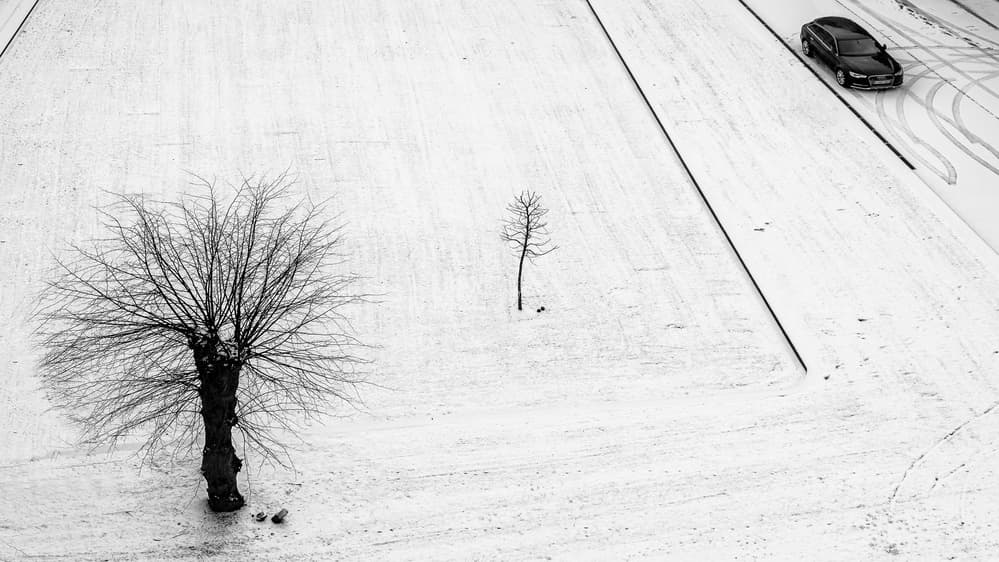 Snowy Road Bare Tree by Lus Joosten — canvas wall art