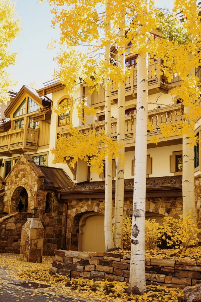 Golden Aspen Lodge by Del Mundo Imagery — canvas wall art