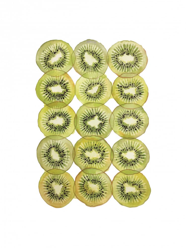 Fresh Kiwi Slices by Ohkimiko — canvas wall art