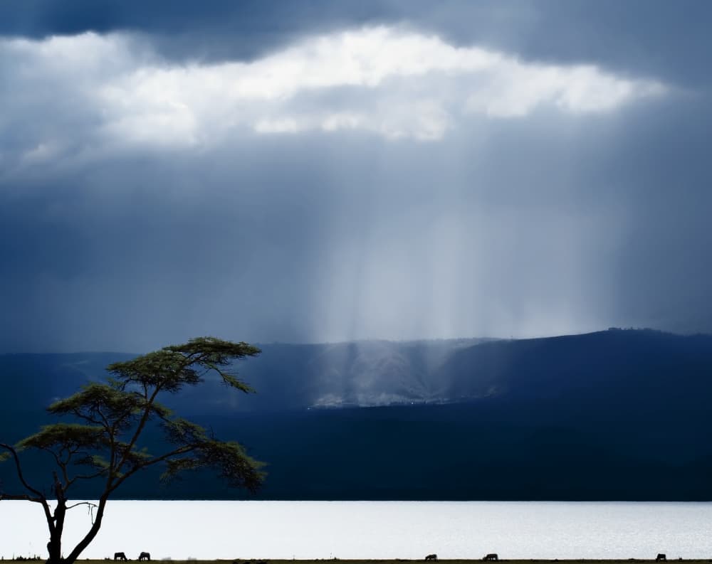 Dramatic African Light Rays by Piet Flour — canvas wall art