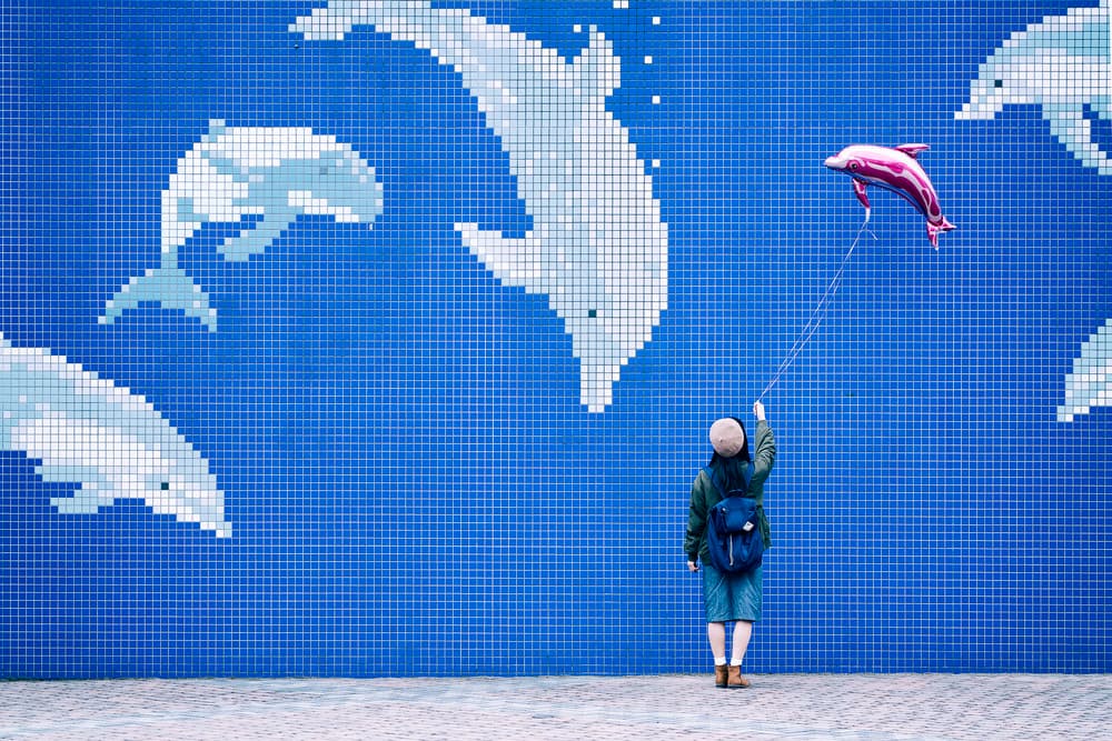 Dolphin Balloon Dream by 7 Flavor C/P — canvas wall art