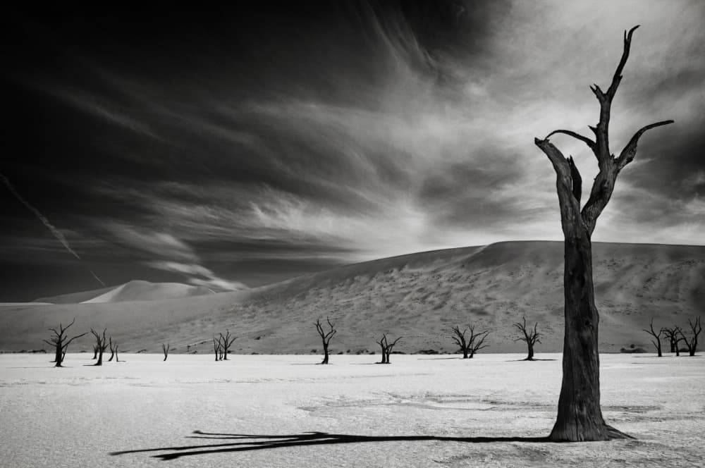Stark Desert Landscape by Mathilde Guillemot — canvas wall art