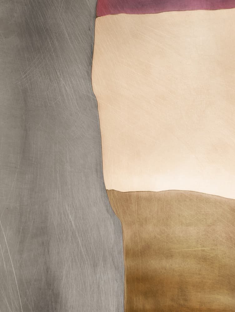 Organic Color Fields by Alma — canvas wall art
