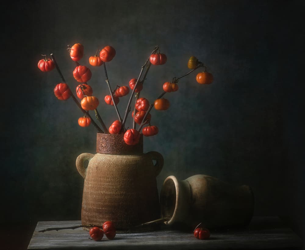 Autumn Gourds Still Life by Catherine Wang — canvas wall art