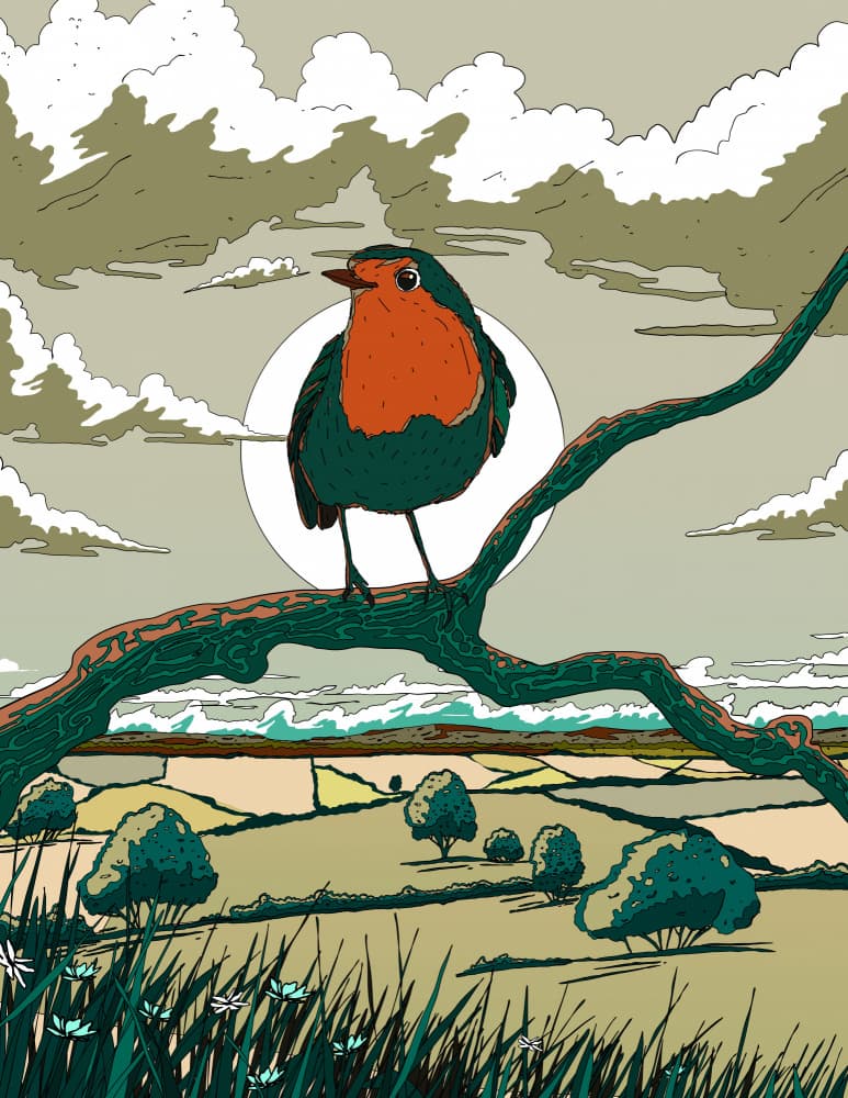 Robin in Countryside Glow by Nicholas — canvas wall art