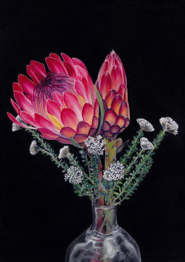 Protea and Blombos By Viccy Wanliss by Viccy Wanliss — canvas wall art