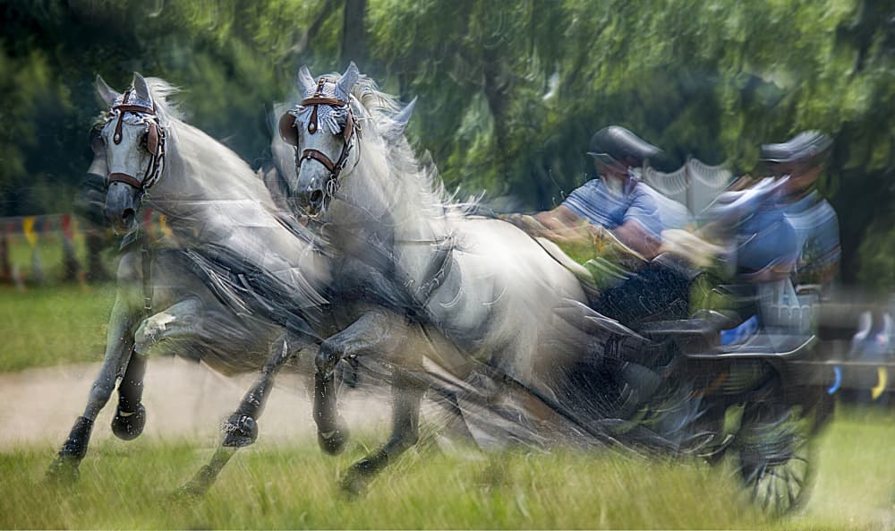 Speeding White Horses by Milan Malovrh — canvas wall art