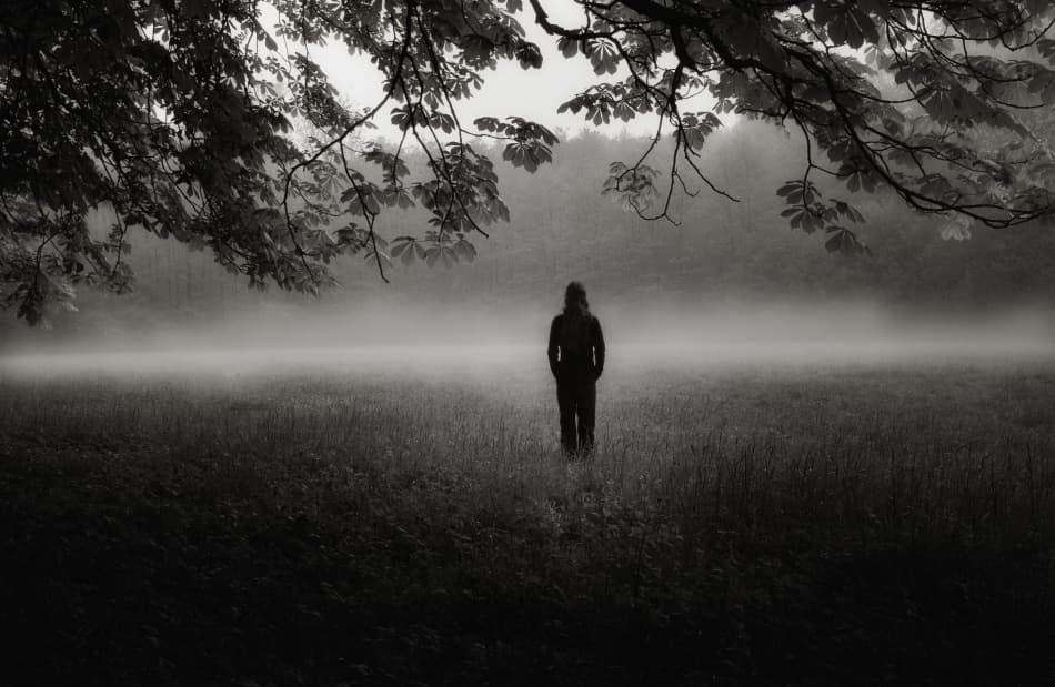 Misty Forest Solitude by Christoph Hessel — canvas wall art