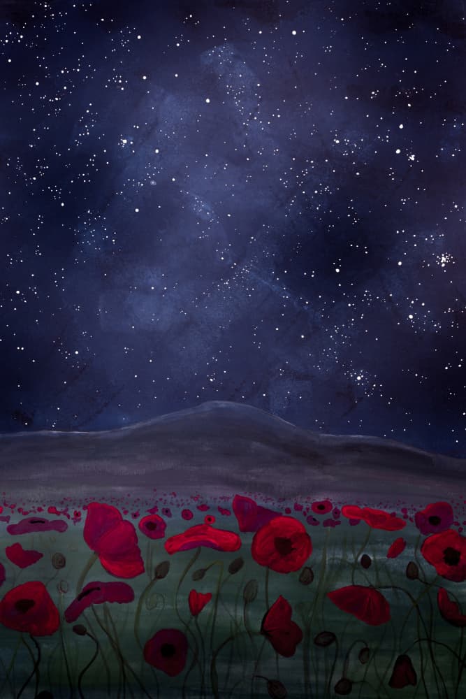 Starry Poppy Field by EMELIEmaria — canvas wall art
