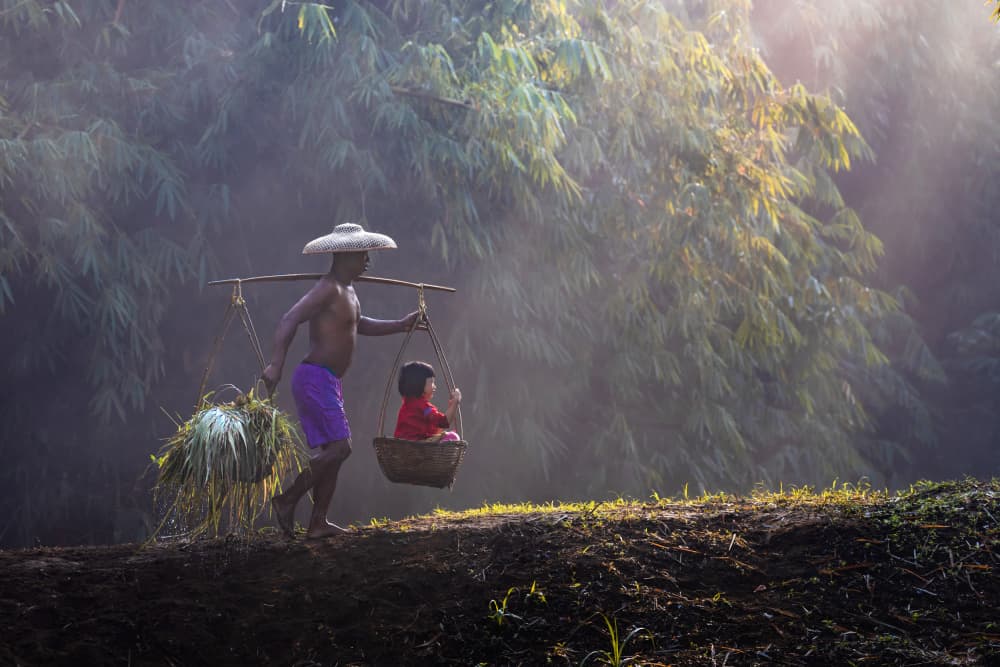 Misty Morning Journey by Sally Widjaja — canvas wall art