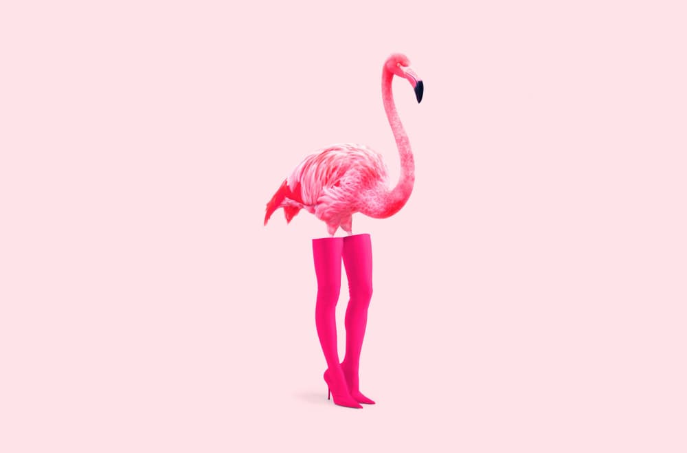 Flamingo Fashion Legs by Artem Pozdniakov — canvas wall art