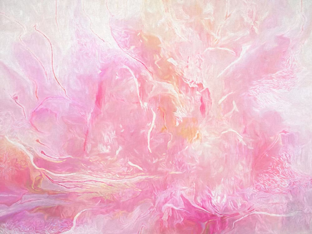 Soft Pink Bloom by Alpenglow Workshop — canvas wall art