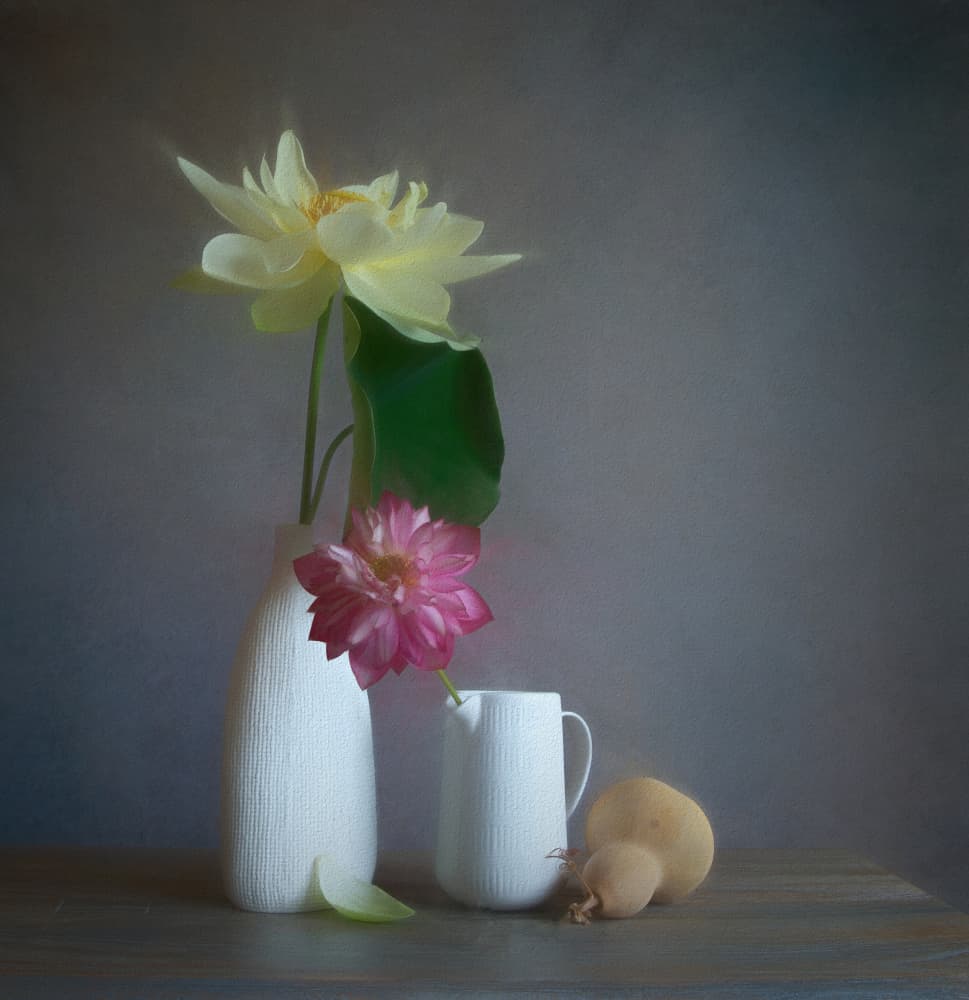 Soft Lotus Still Life by Fangping Zhou — canvas wall art