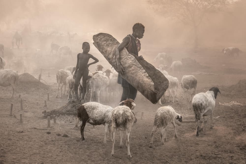African Pastoral Haze by Trevor Cole — canvas wall art