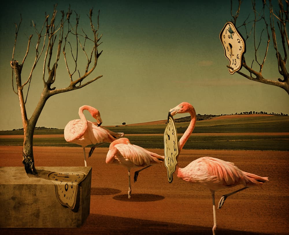 Flamingos Melting Clocks by Svetlana Melik-Nubarova — canvas wall art