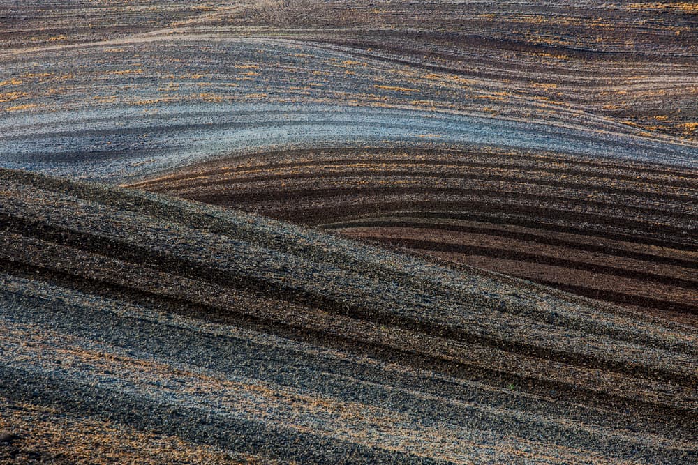 Rolling Field Patterns by Clas Gustafson PRO — canvas wall art