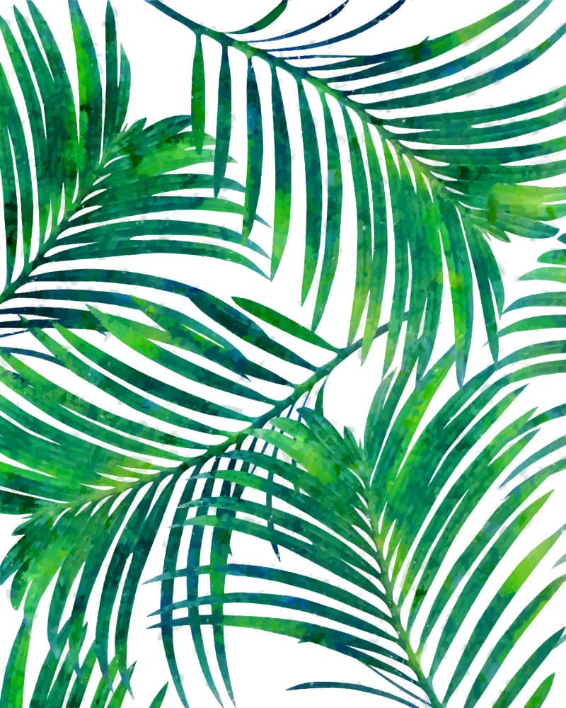 Green Watercolor Palms by Uma Gokhale — canvas wall art