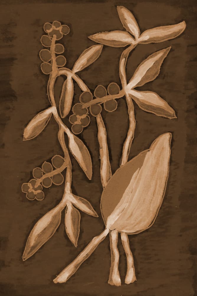 Organic Sepia Botanicals by Lori Ann Folz — canvas wall art