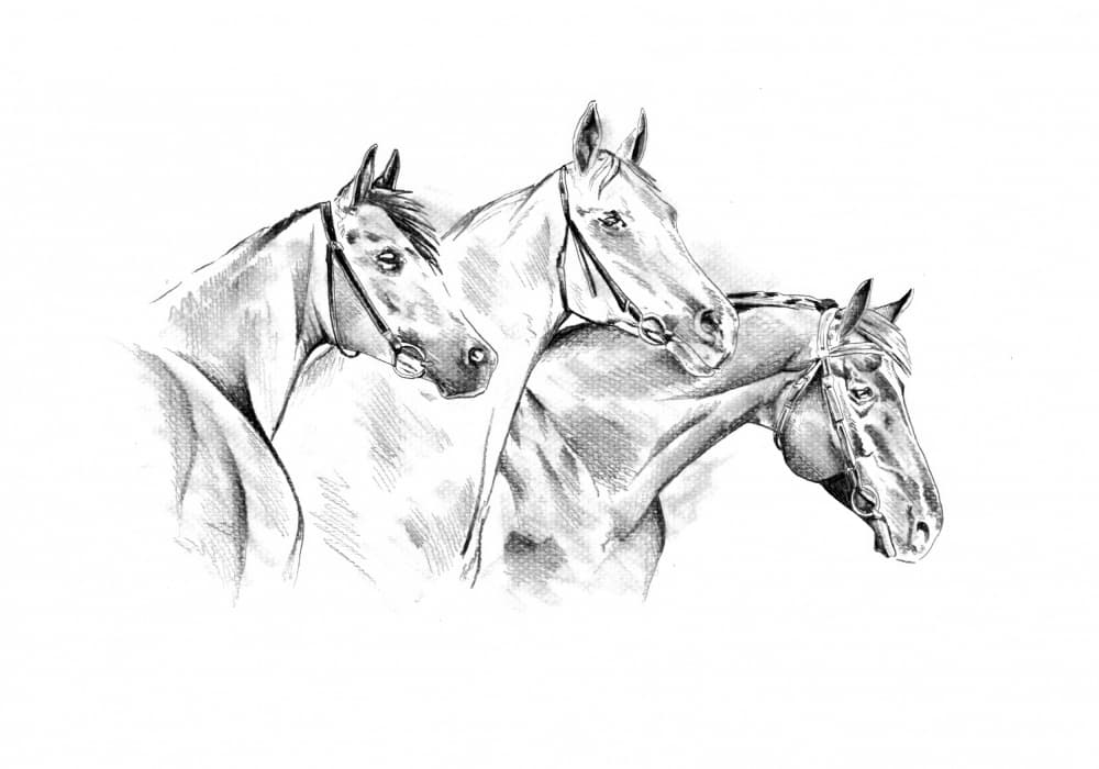 Majestic Horse Drawing by Kulik — canvas wall art