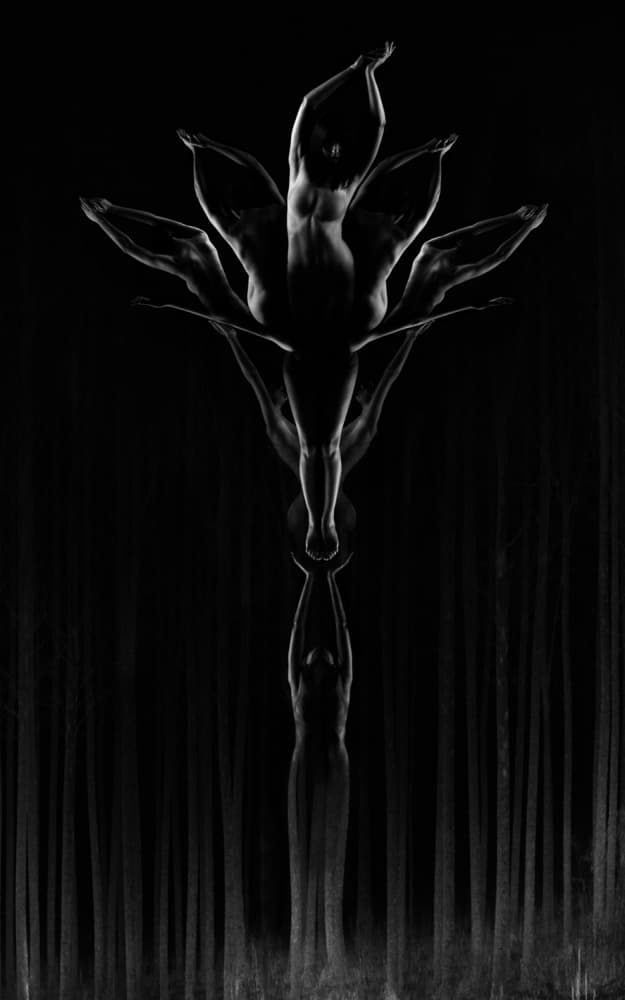 Human Lotus Forest by Patrick Odorizzi — canvas wall art