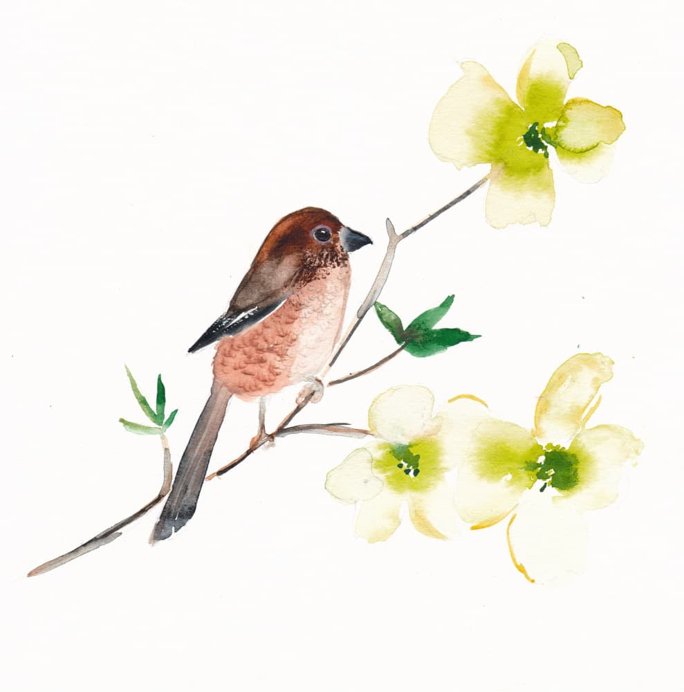 Brown Bird On Branch by Christine Lindstrom — canvas wall art