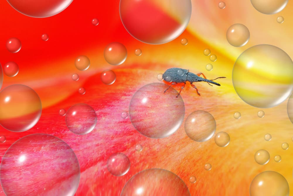 Vibrant Weevil Droplets by Thierry Dufour — canvas wall art