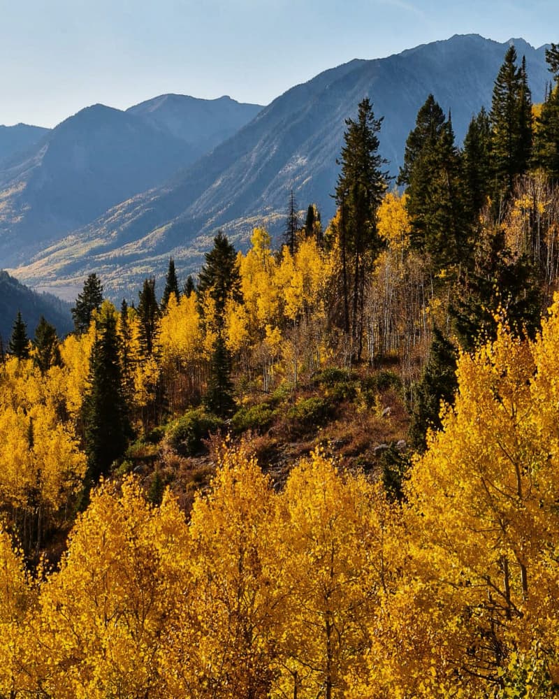 Golden Aspen Mountains by Del Mundo Imagery — canvas wall art