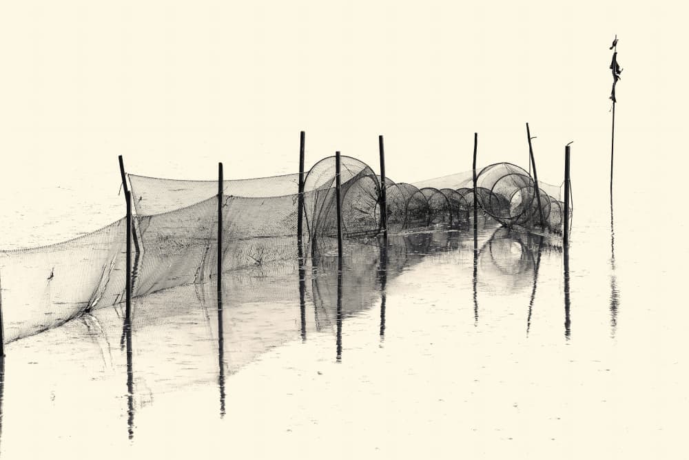 Serene Fishing Nets by Bodo Balzer — canvas wall art