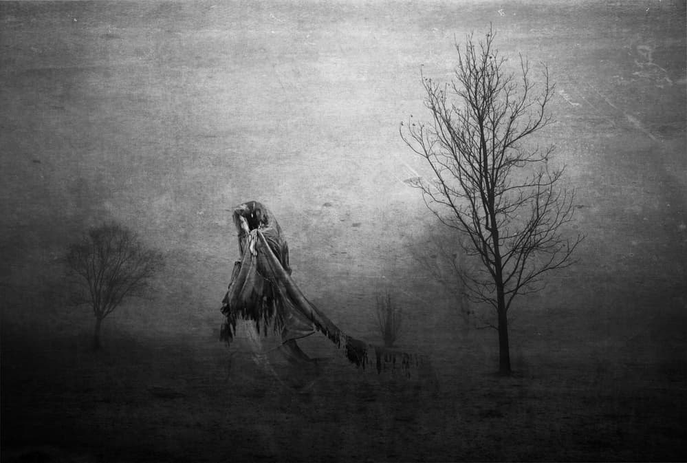 Misty Forest Spirit by Charlaine Gerber — canvas wall art