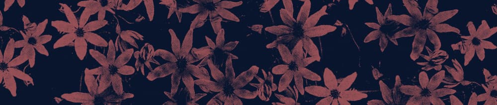 Dusky Terracotta Blooms by Florent Bodart — canvas wall art