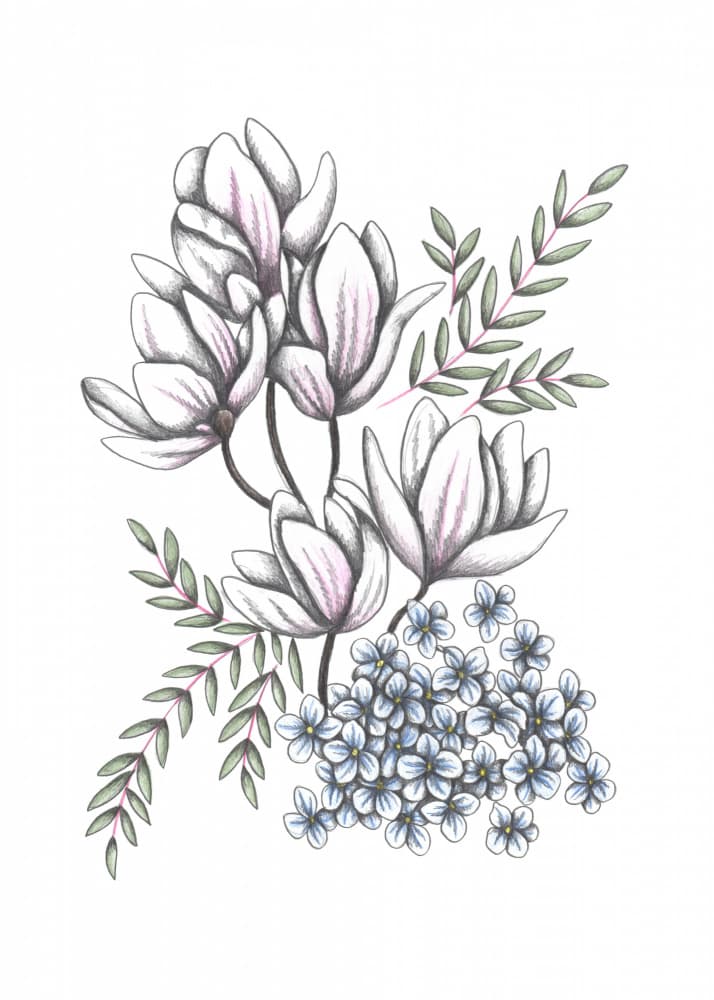 Magnolia Blue Bloom by Cecilia Battaini — canvas wall art
