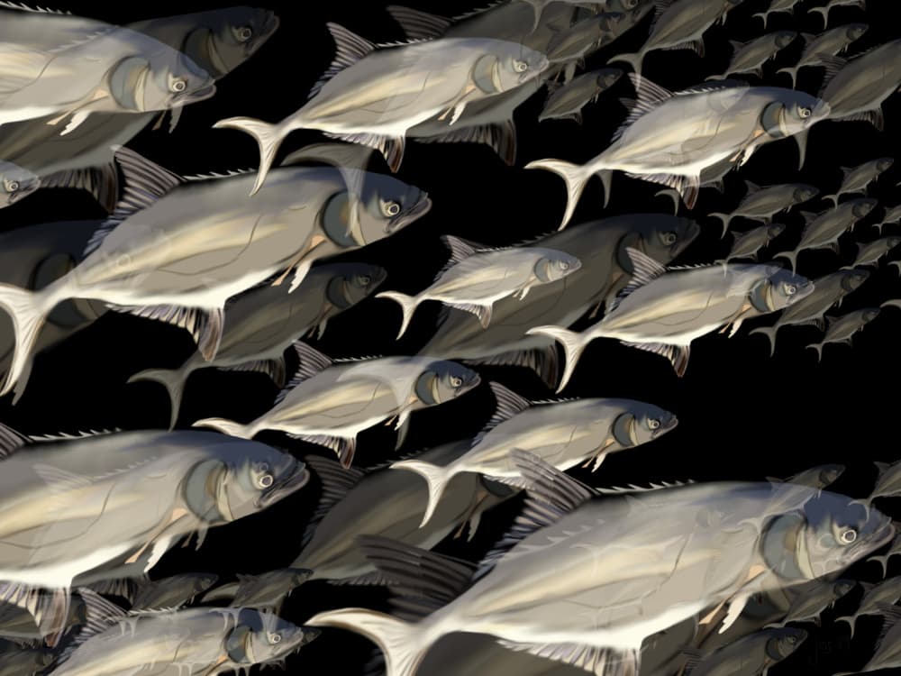 Dynamic School of Fish by Jocelyn Wortley — canvas wall art
