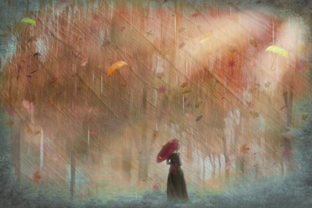 Woman In Autumn Rain by Ewa Całkosińska-Kajzer — canvas wall art