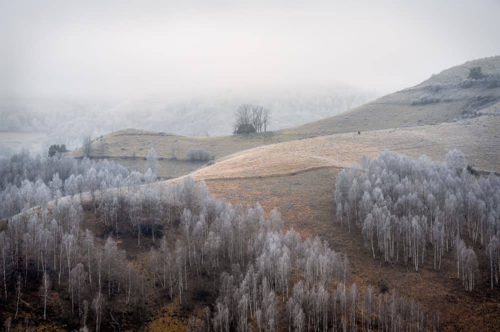 Frosted Winter Landscape by Eduard Andrica — canvas wall art