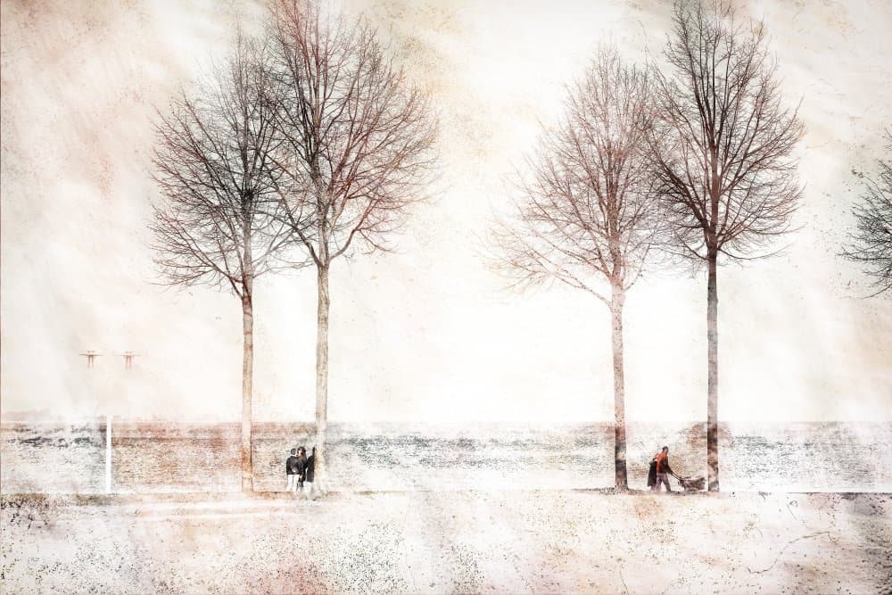 Bare Trees Winter Walk by Ina Tänzer — canvas wall art