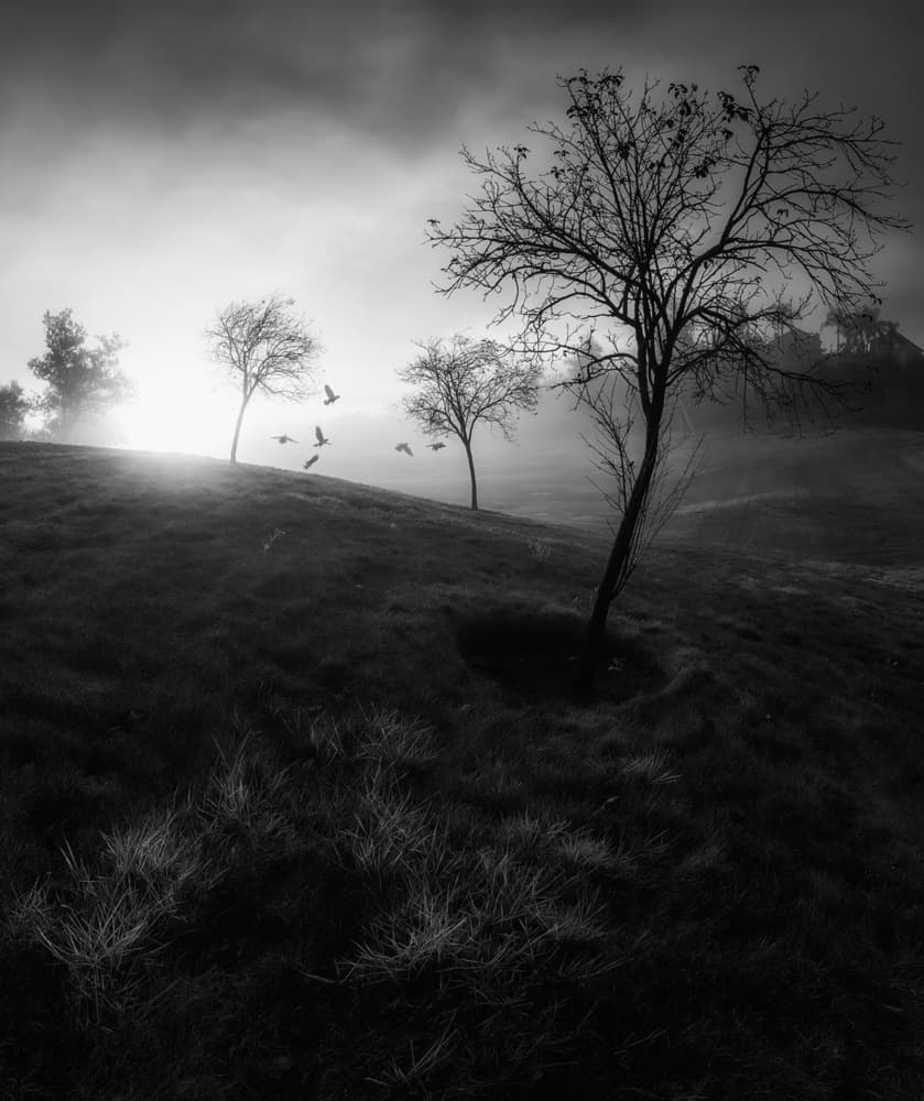 Misty Morning Landscape by Aidong Ning — canvas wall art
