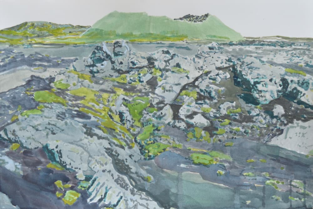Mossy Volcanic Landscape by Karin Bos — canvas wall art