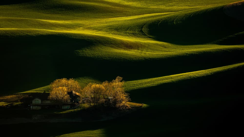 Green Hills Homestead by David H Yang — canvas wall art