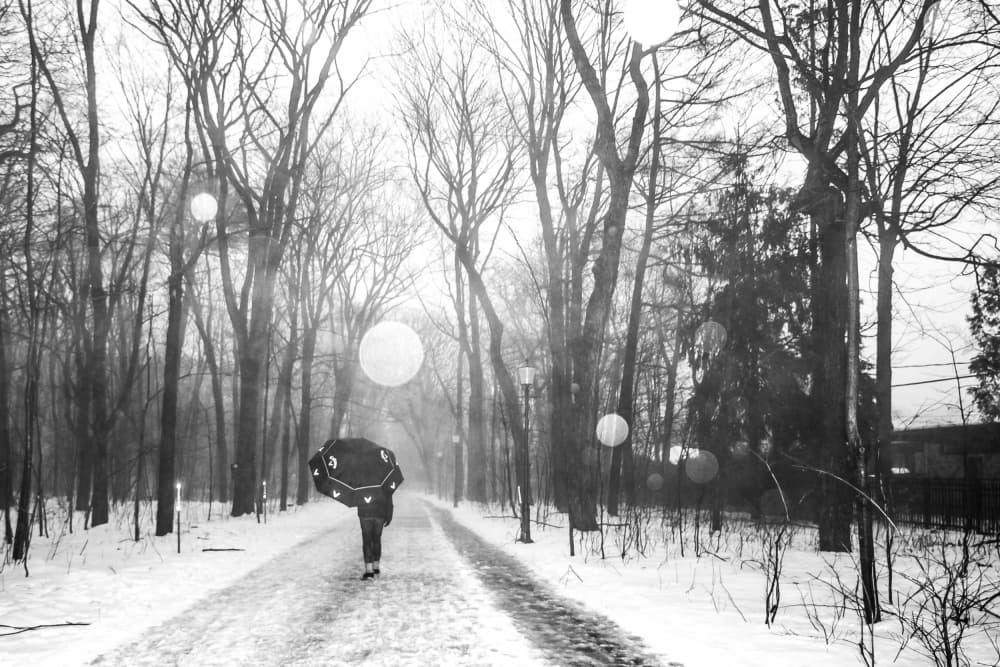 Winter Park Stroll by Michiko Ôtomo — canvas wall art