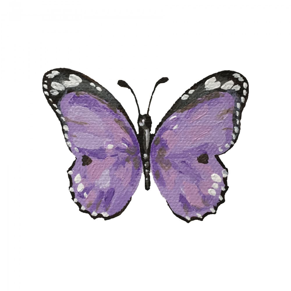 Vibrant Purple Butterfly by Madison Phipps — canvas wall art