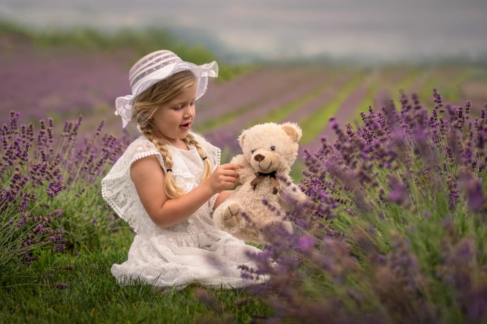 Lavender Field Friends by Joško Šimic — canvas wall art