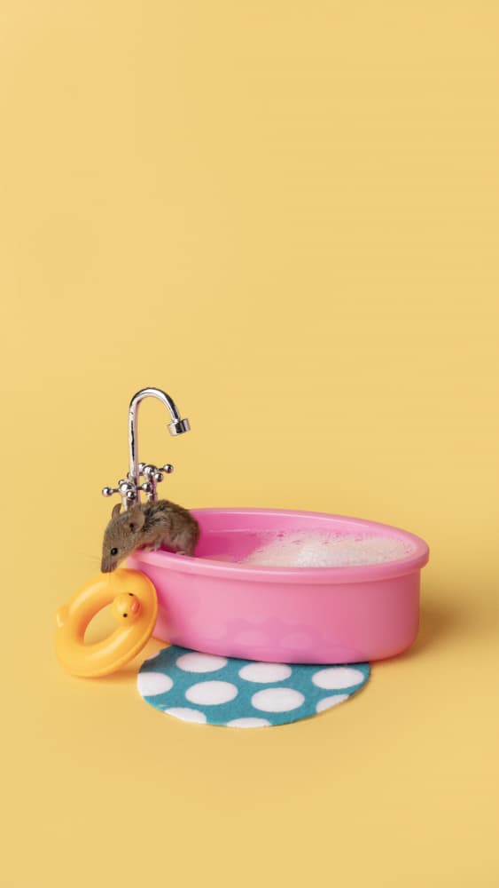 Cute Mouse Bath Time by Julia Ramiro — canvas wall art