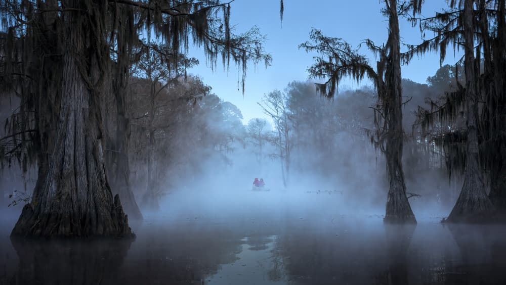 Foggy Bayou Morning by Ruiqing P. — canvas wall art