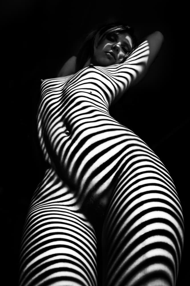 Zebra Stripe Form